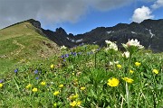Anello Laghi di Ponteranica-Monte Avaro dai Piani il 10 giugno 2018 - FOTOGALLERY